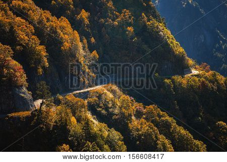 Autumn mountain in Toyoma, Hakusan Shirakawa-go White Road in the end of October.