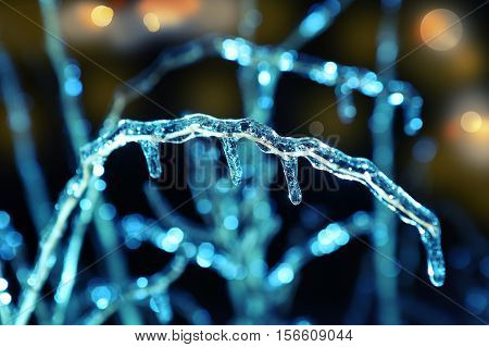 frosen icicles on tree branches night sceen close up picture