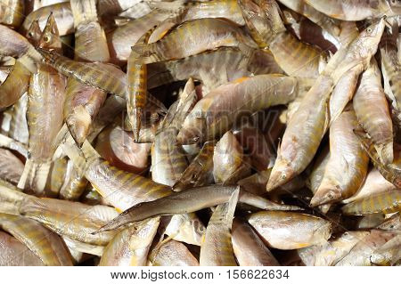 Dried Small fish used in Asian cuisine