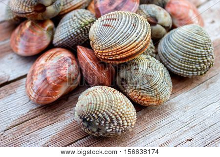 Fresh clams on a wooden table. Concept - healthy food.