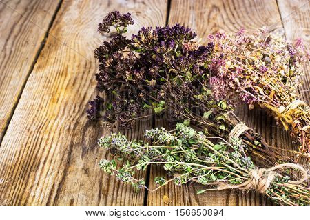 Dried Flowers and Stems of Thyme Studio Photo