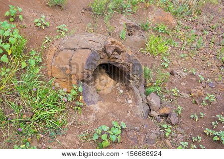 Stone Formation Resembling Dinosaur Eggs Have Been Found Near The Village Of Wet Olhovka Kotovo Dist