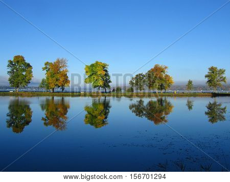 Tree Line in fall follage with Reflection in the water under a clear blue Autumn sky