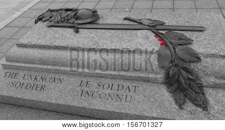 Canadian National War Memorial and Tomb of the Unknown Soldier in Ottawa, Canada in Black and White with red poppy flowers