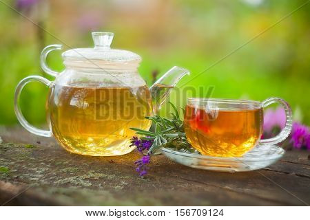 Green Tea In Beautiful Cup
