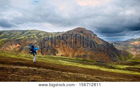 hiker on the trail in the Islandic mountains. Trek in National Park Landmannalaugar, Iceland