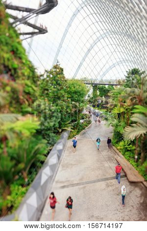Singapore, Republic of Singapore - May 5, 2016: tourists exploring Cloud Garden conservatory greenhouse