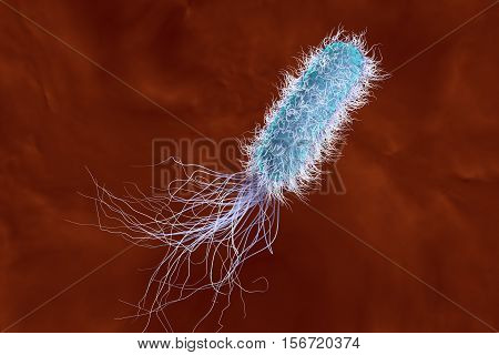 Bacterium Pseudomonas aeruginosa in blood, antibiotic-resistant nosocomial bacterium, 3D illustration. Illustration shows polar location of flagella and presence of pili on the bacterial surface