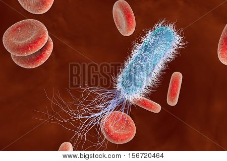 Bacterium Pseudomonas aeruginosa in blood, antibiotic-resistant nosocomial bacterium, 3D illustration. Illustration shows polar location of flagella and presence of pili on the bacterial surface