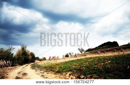 An dusty countryside road before the rain