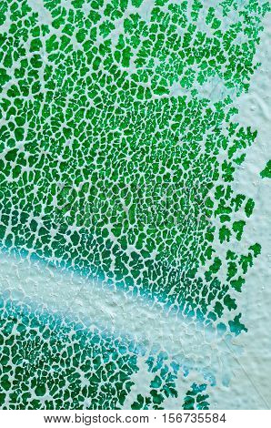 Bright colorful explosive streaks of white paint on green wall for abstract backgrounds