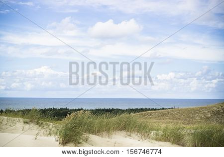View of Dead Dunes Curonian Spit and Curonian Lagoon Nagliai Nida Klaipeda Lithuania. Baltic Dunes.Unesco heritage.