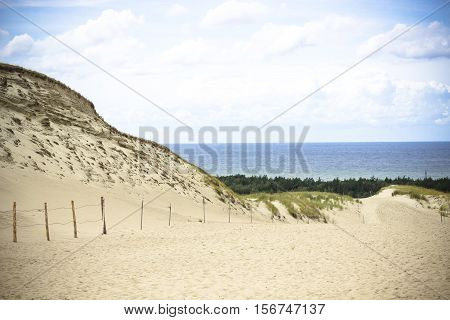 View of Dead Dunes Curonian Spit and Curonian Lagoon Nagliai Nida Klaipeda Lithuania. Baltic Dunes.Unesco heritage.