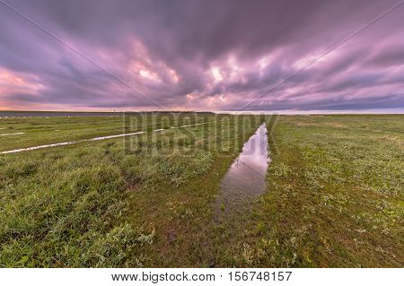 Sunset Over Ditch In Tidal Marsh