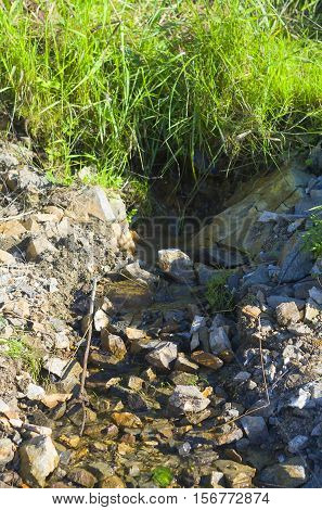 a spring flowing from the grass among the rocks