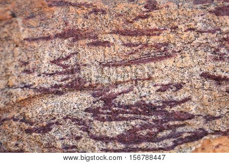 Surface of a red sandstone with white intercalations.