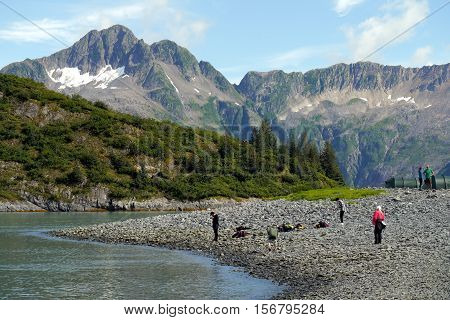 mountain backdrop on the shores of Aialik bay, Seward, Alaska