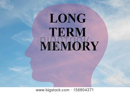 Long-term Memory Concept