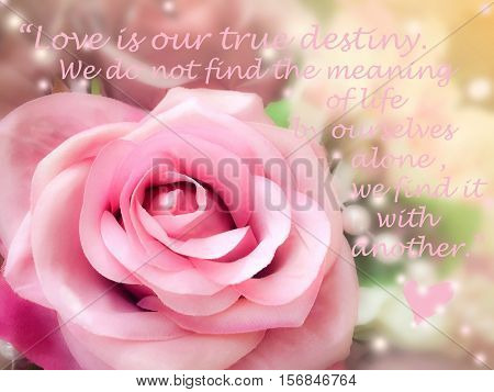 Inspirational quote words by Thomas Merton on vintage background sweet dreamy and soft focus blooming of pink rose