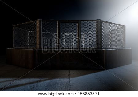 Mma Cage Night