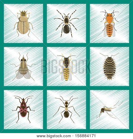assembly flat shading style illustration of insect honey wasp soldier bug ant mosquito scarab Araneus bee fly