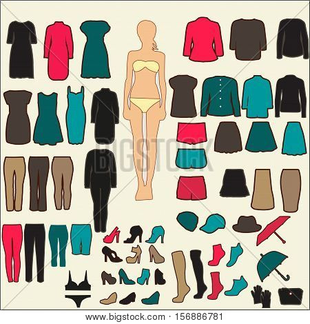 Vector set of stylish women's clothing on a white background