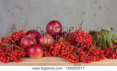 The berries are red ash for use as a decorative still-life.