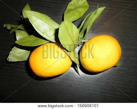 Mandarines on a branch with leaves on a black background