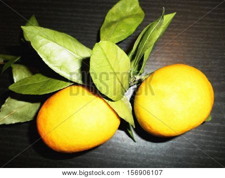 Mandarines on a branch with leaves on a black background