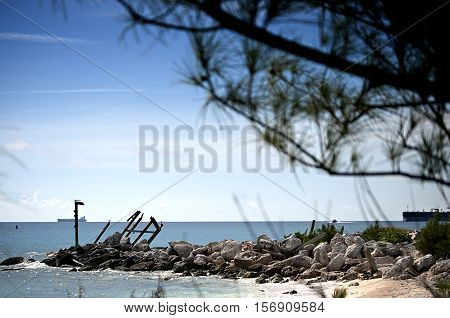 Beach view under the pines. Ships far away on the horizon. Ship wrecks.