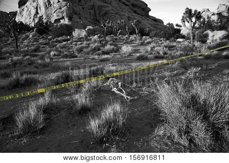 Crime Scene. Skeleton partially buried in dirt in a desert. Forensic Crime Scene. Murder Scene. CSI Investigation.  