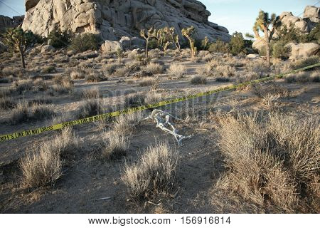 Crime Scene. Skeleton partially buried in dirt in a desert. Forensic Crime Scene. Murder Scene. CSI Investigation.  