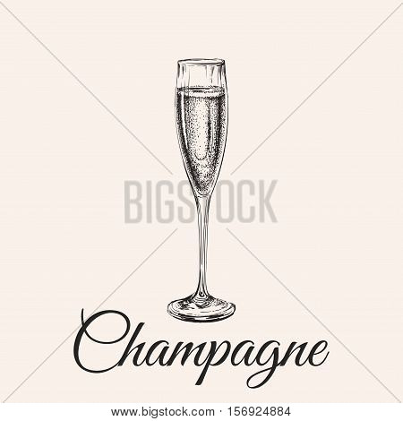 Champagne Glass Hand Drawing Vector Illustration Bubbles. Alcoholic Drink.