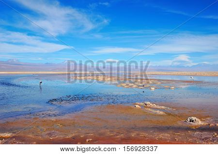 Panoramic view of the Laguna Chaxa a lagoon with flamingos in the National reserve Los Flamencos close to San Pedro de Atacama in the Atacama desert in Chile South America
