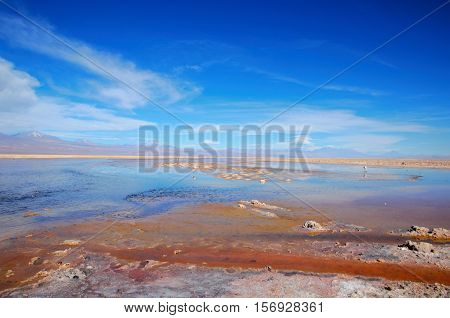 Panoramic view of the Laguna Chaxa a lagoon with flamingos in the National reserve Los Flamencos close to San Pedro de Atacama in the Atacama desert in Chile South America