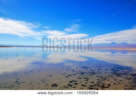 Panoramic view of the Laguna Chaxa a lagoon with flamingos in the National reserve Los Flamencos close to San Pedro de Atacama in the Atacama desert in Chile South America