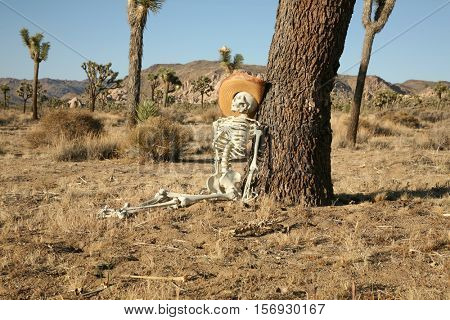 A skeleton lays against a Joshua Tree in the Joshua Tree National Forest. Could be a Crime Scene or a Lost Hiker who never found his way home. You decide. Converted to Black and White for effect.