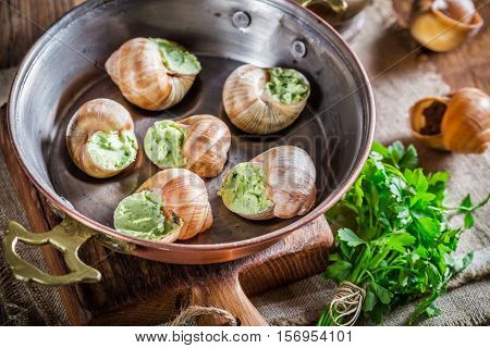 Delicious Snails With Hebrs And Garlic Butter