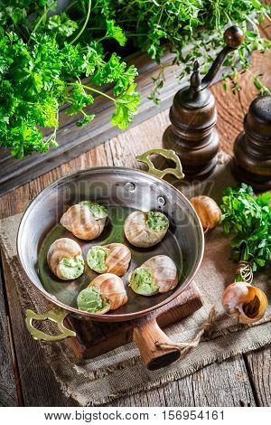 Fresh Snails With Garlic Butter And Hebrs