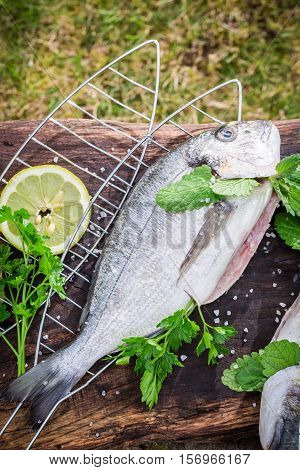 Roasting Fresh Fish With Lemon And Herbs
