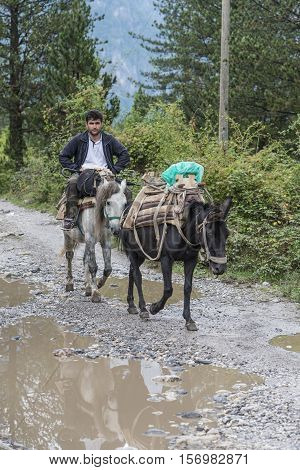 Tel Aviv, Israel-21 September, 2016 : Typical transportation on donkey in Theth, Albania