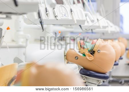 Stomatology Manikin In Medical Academy