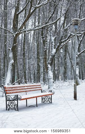 Park bench and trees covered by heavy snow. Lots of snow