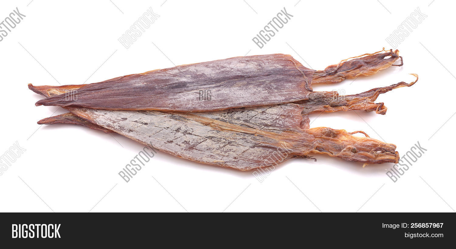 Dried Squids Isolated Image & Photo (Free Trial) Bigstock