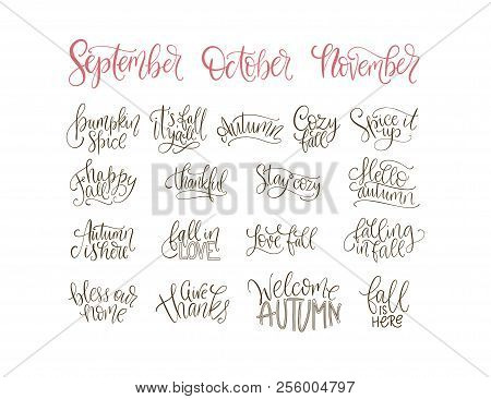 Cozy Fall Vector Lettering Set. Hand Drawn Autumn Quotes. Big Autumn Lettering Collection With Posit