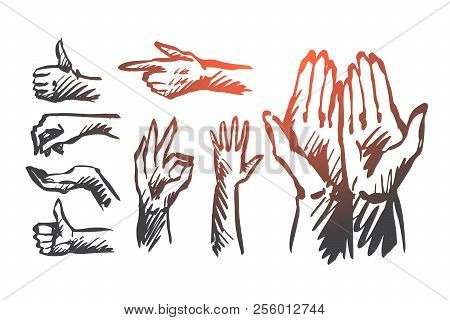 Hand, Palm, Human, Finger, Gesture Concept. Hand Drawn Human Hands Shows Different Gestures Concept 