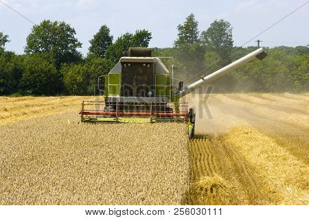 A Combine Machine Is Busy With Harvesting The Grain In The Summr In Germany