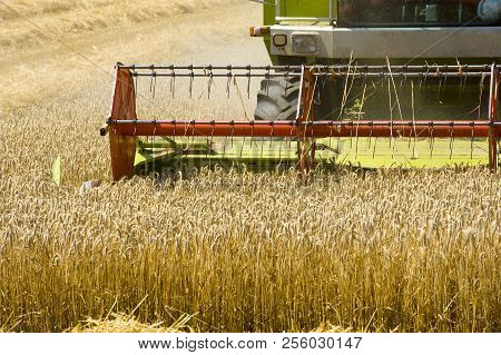 A Combine Machine Is Busy With Harvesting The Grain In The Summr In Germany