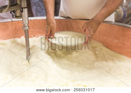 Parmesan Cheese Prduction Process In Bologna Italy