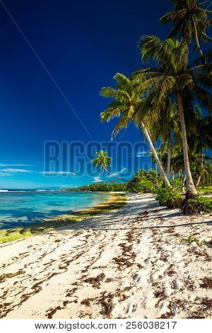 Beach with coral reef on south side of Upolu framed by palm leaves, Samoa Islands